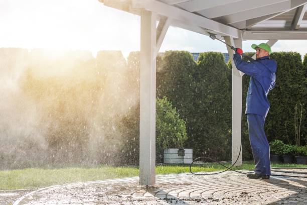 Best Spring Cleaning  in Nevada, TX