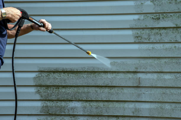 Best Patio and Deck Pressure Washing  in Nevada, TX